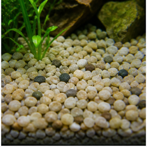 Substrat de acvariu arrondi dans un aquarium